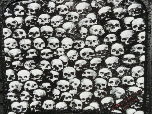 "SKULLWALL" Radd Padd BLEM old logo (Copy)